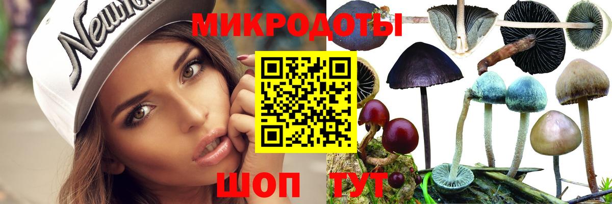 Галлюциногенные грибы Cubensis  Лянтор 